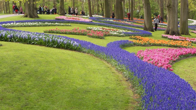 2014-04-17 Holland Tulips 59.jpg